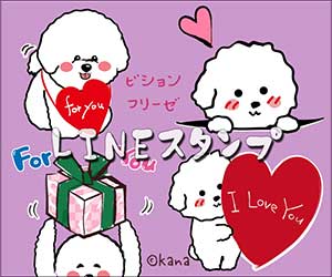 おめでとうお祝いビションフリーゼLINEスタンプ
